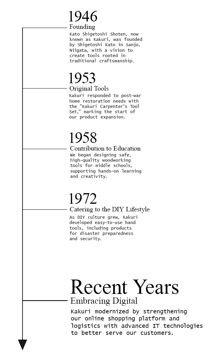 Infographic showing the evolution of the company, highlighting key milestones and achievements from 2010 to the present.
